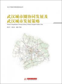 中部地区县域新型城镇化路径模式及空间组织