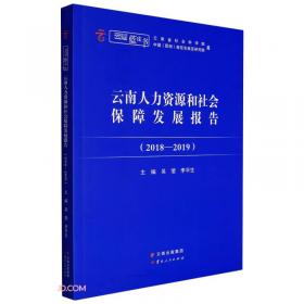 云南经济发展报告（2014-2015）