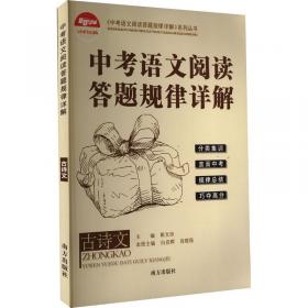 中考领航九年级数学——金视点书系