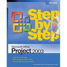 Microsoft Office Excel 2007 进阶指南