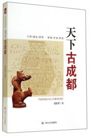 柔与刚:一座城市的DNA:成都/英雄中国大型系列丛书