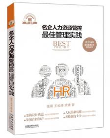 名企人力资源最佳管理实践/名企HR最佳管理实践系列丛书