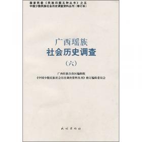 广西壮族社会历史调查（3）