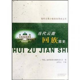 20世纪中国民族家庭实录（共56册）