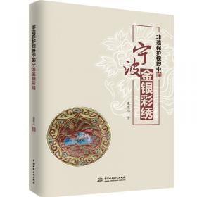 “疑难问题解决”丛书：初中语文综合性学习教学及思考