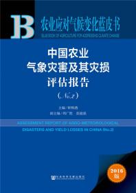 2003年淮河大水天气分析与研究