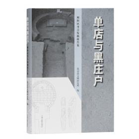 北京寺庙宫观考古发掘报告