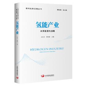 氢能汽车蓝皮书：中国车用氢能产业发展报告（2020）