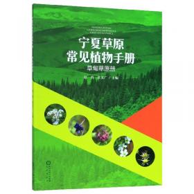 高校与学科发展中的人才与科研/中国农业大学图书馆“图书情报学”研究丛书