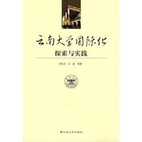 美国游学/云南民族大学国际化建设系列丛书