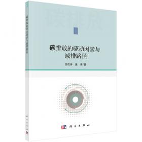 中国就业的宏观经济决定机制研究—青年学术丛书 经济