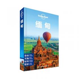 孤独星球Lonely Planet旅行指南系列：越南