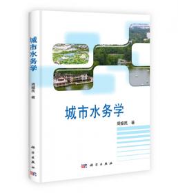 岭南高速公路跨河工程防洪影响研究