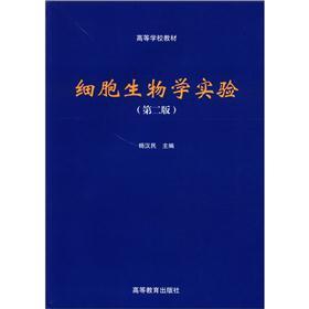 两汉对儒学核心价值观的构建及经验启示