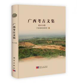 广西文物考古报告集（1991~2010）
