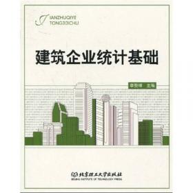 建筑企业统计基础(第2版)
