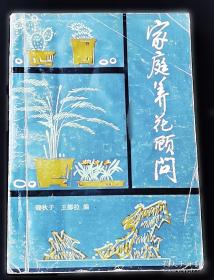 家庭的秘密：鲍文理论揭示家庭隐秘的情绪力量
