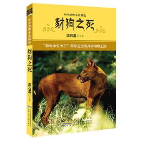 沈石溪动物探索营：长江漂流记