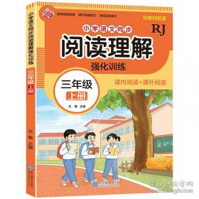 小学数学教学新论