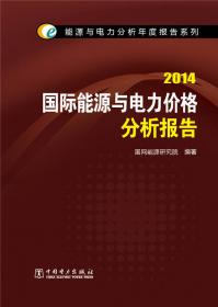 能源与电力分析年度报告系列：2013国际能源与电力价格分析报告