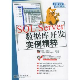 专精精讲：SQL Server数据库管理、升级与转移
