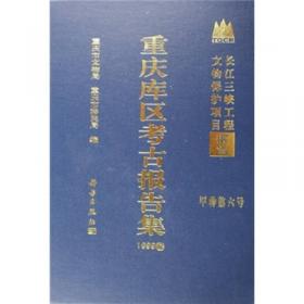 重庆市文化遗产书系：涪陵白鹤梁（长江三峡工程文物保护项目报告丙种第六号）