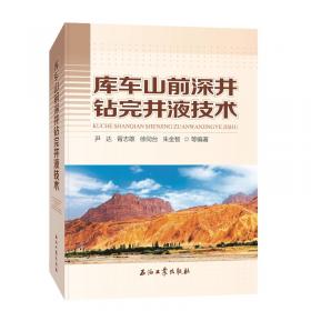 库车前陆冲断带新生界砾岩层分布与识别技术