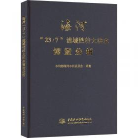 海河流域水循环演变机理与水资源高效利用丛书：海河流域水环境安全问题与对策