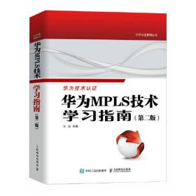 华为MPLS VPN学习指南 （第二版 ）
