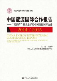 中国能源国际合作报告2013/2014：能源文化的国际视野比较（中国人民大学研究报告系列）