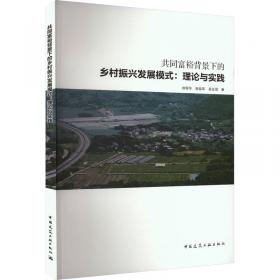 共同富裕的代村之路：新型农村集体经济的实践探索