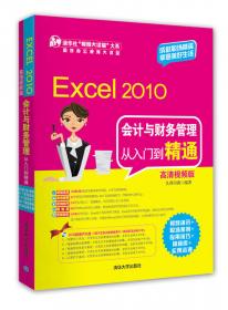 Excel 2010高效办公从入门到精通（高清视频版）