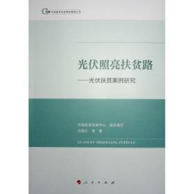 光伏发电的复杂不确定性建模分析及应用