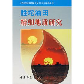 胜坨油田采油工艺技术