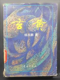 二步分层李群上的调和分析