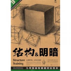 造型基础训练方法丛书·素描几何体结构训练法：结构训练法（1）（黄金典藏版）