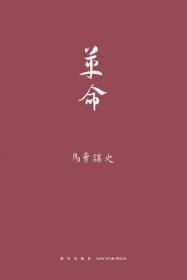 现代中国的展开：以五四运动为基点  史学教授马勇重磅新书