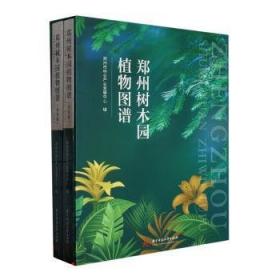 区域教育发展新样态实践研究