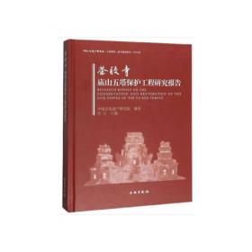 中国文化遗产研究院援外文物保护工程项目成果集--2017-2019(精)