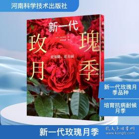 新一代信息通信规划教材：网站建设与管理