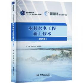 水利工程除险加固技术丛书：水闸工程除险加固技术