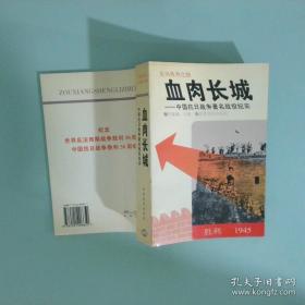 血肉长城：中国抗日战争著名战役纪实