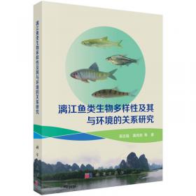 漓江流域水陆交错带生态修复理论与技术