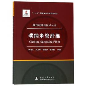 碳纳米管/石墨烯基复合材料制备及应用