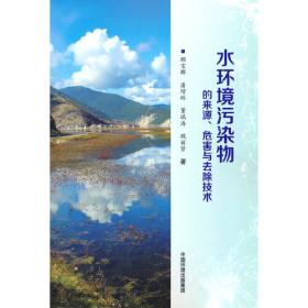 水环境治理技术——深圳茅洲河流域水环境治理实践 