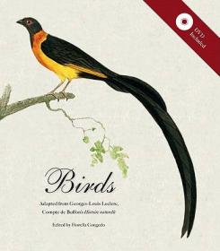 Birds: The Art of Ornithology