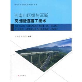 渝黔铁路白沙沱长江大桥建造关键技术