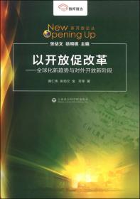 智库报告·新开放论丛·改革中的金融开放：中国金融体制创新与市场开放风险研究