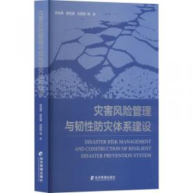 灾害社会风险治理系统工程