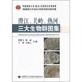中国地质大学（武汉）实验教学系列教材：普通地质学矿物-岩石实习图册
